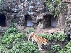 -杭州少年儿童公园