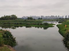 -洋湖国家湿地公园