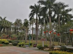 -广州珠江公园