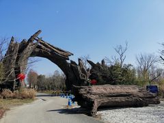 -广富林郊野公园