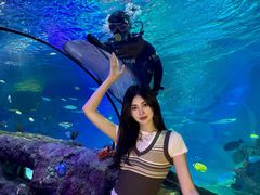 -沈阳海洋探索中心