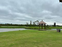 -春花秋色城市公园