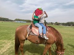 -武汉紫薇都市田园