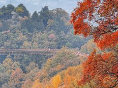 -少华山国家森林公园