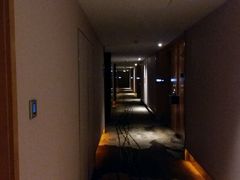-成都明宇丽雅饭店
