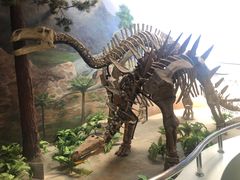 -延庆地质公园博物馆