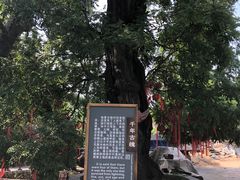 -水峪民俗村