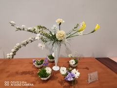 -汉艺唐风茶艺培训(联发华美空间店)