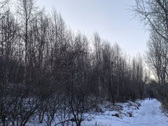 -中旅松花湖滑雪场