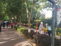 -金城公园