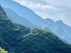 -沣峪口