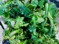 -华盛园卷子王农家菜水库鱼