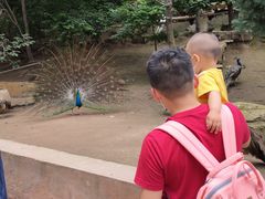 -哈尔滨北方森林动物园