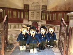 -济州岛泰迪熊博物馆