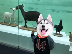 -国家自然博物馆