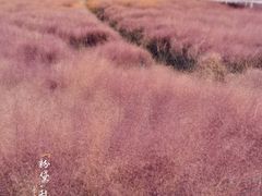 -嘉北郊野公园
