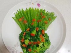 -成都阿姨到家月嫂育儿嫂(华西店)