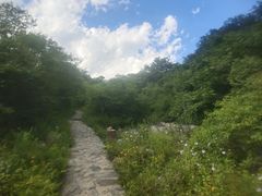 -灵山