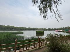-燕郊植物园