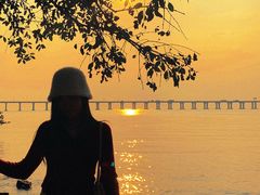 -宝安西湾红树林湿地公园