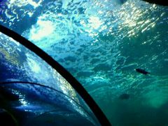 -多彩贵州城极地海洋世界