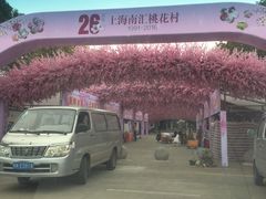 -南汇桃花村
