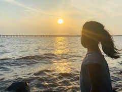 -宝安西湾红树林湿地公园