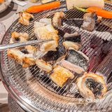 成都烤活鳗🐟，认准善满准没错