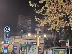 -大望路(地铁站)