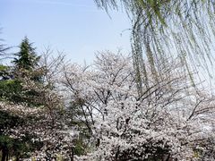 -堤角公园