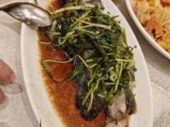 -海港酒家(上水新丰店)