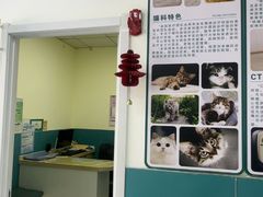 -乖乖宠物医院·猫科·急重症中心(车站北路分院)