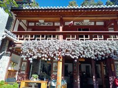 -寂照庵
