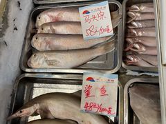 -外沙疍家棚酒楼
