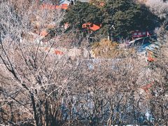 -妙峰山风景名胜区