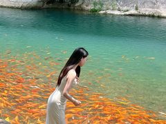 -楠溪江风景名胜区