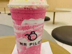 -飞行喵MR PILOT|猫舍·猫咖(静安大融城店)