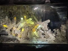 -湖南省地质博物馆