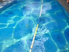 -天津津利华酒店