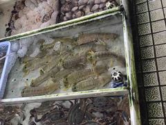 -南沙十九涌渔人码头-南门