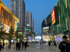 -大悦城(沈阳中街店)