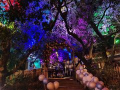 -爵士花园音乐酒吧餐厅