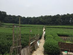 -青禾婚纱摄影(杭州店)