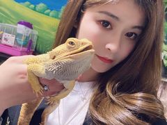 -藦茜花园宠物主题亲子互动体验馆(国顺东路店)