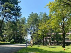 -Club Med地中海俱乐部·桂林度假村