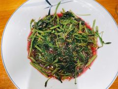 蒜蓉红线菜-新海渔港·胶东海鲜家常菜·家宴(奥体中心店)