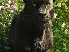 -UME影城(安贞DTS:X店)