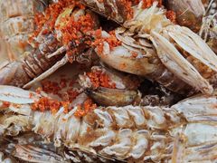 -海鲜e族(马王堆店)