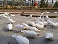 -南宫五洲植物乐园