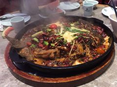 -老板恋上鱼(恒隆广场店)